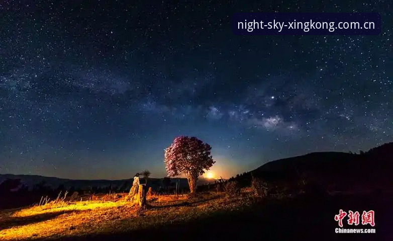 星空中国最新版下载不了怎么办 星空中国最新版下载不了,到底卡在哪里?