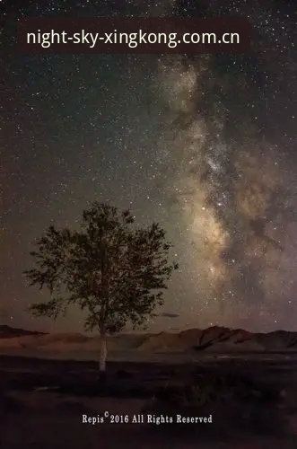 星空中国官方版安装教程 见证埃里克森球场再倒事件,你该知道的星空中国官方版安装教程